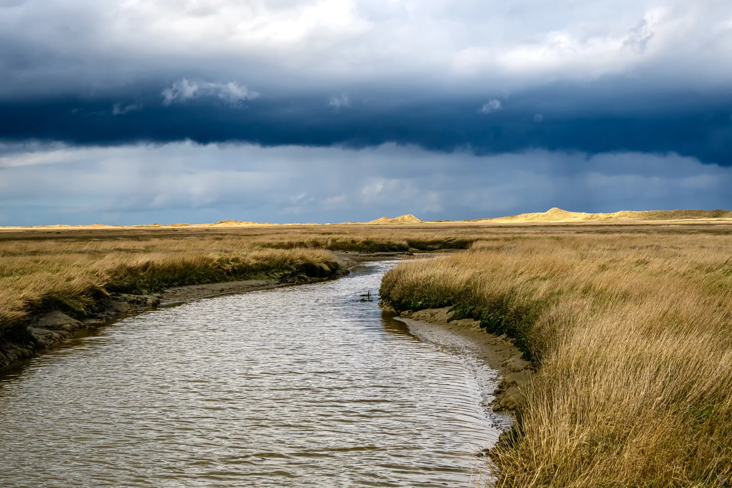Tidal channel and saltmarsh in Germany