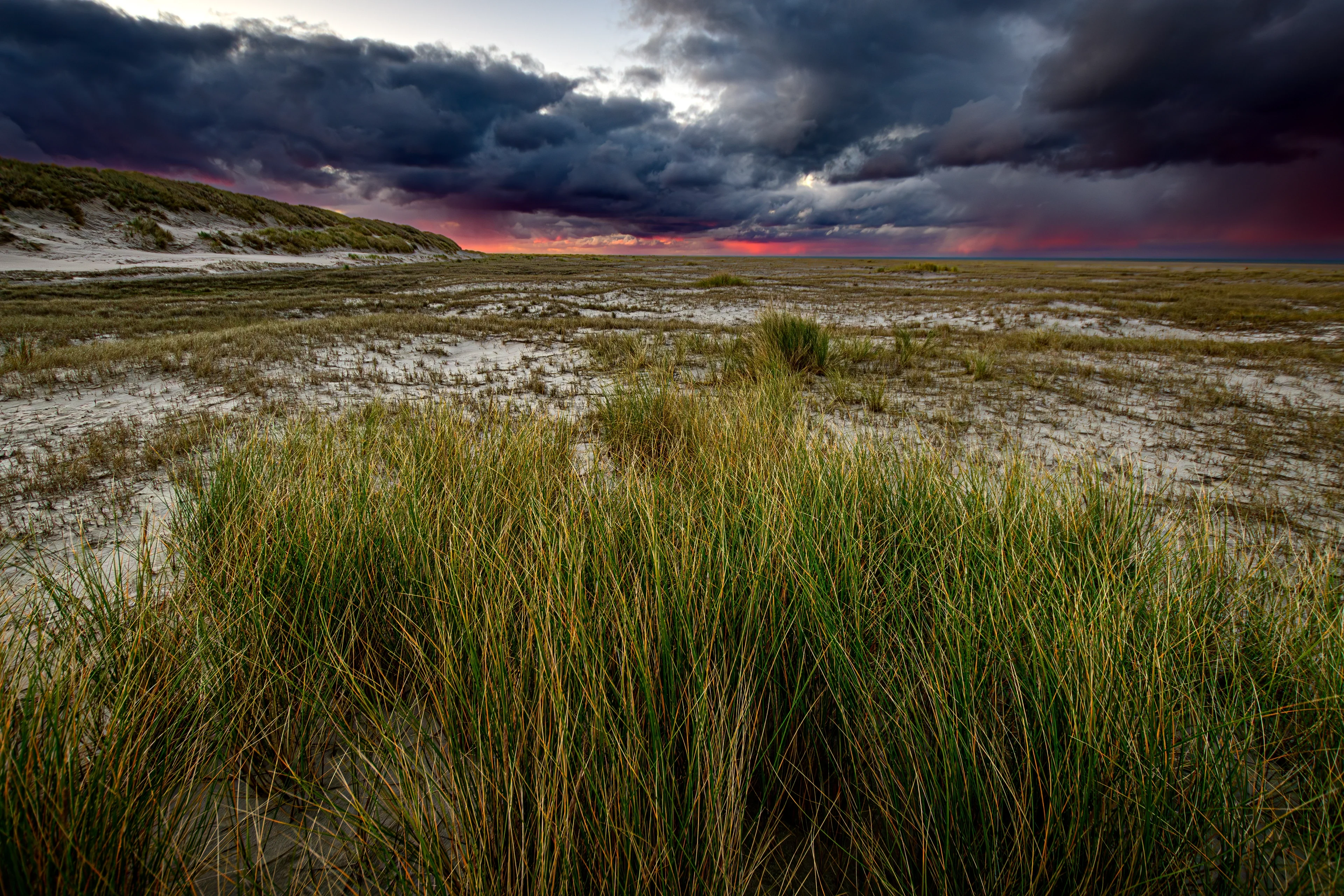 Foredunes on Spiekeroog, Germany