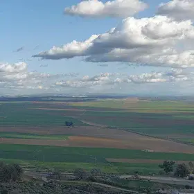 Cultivated soils of the Guadalquivir valley from the Carmona plateau (SW Spain)
