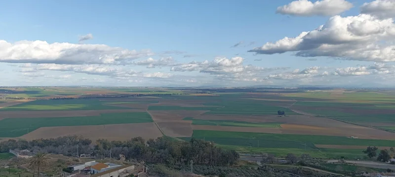 Cultivated soils of the Guadalquivir valley from the Carmona plateau (SW Spain)