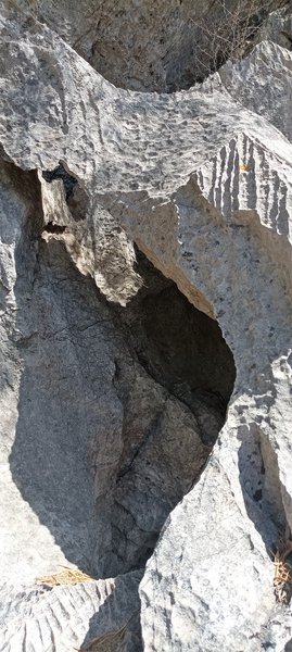 Hole in a (limestone) wall