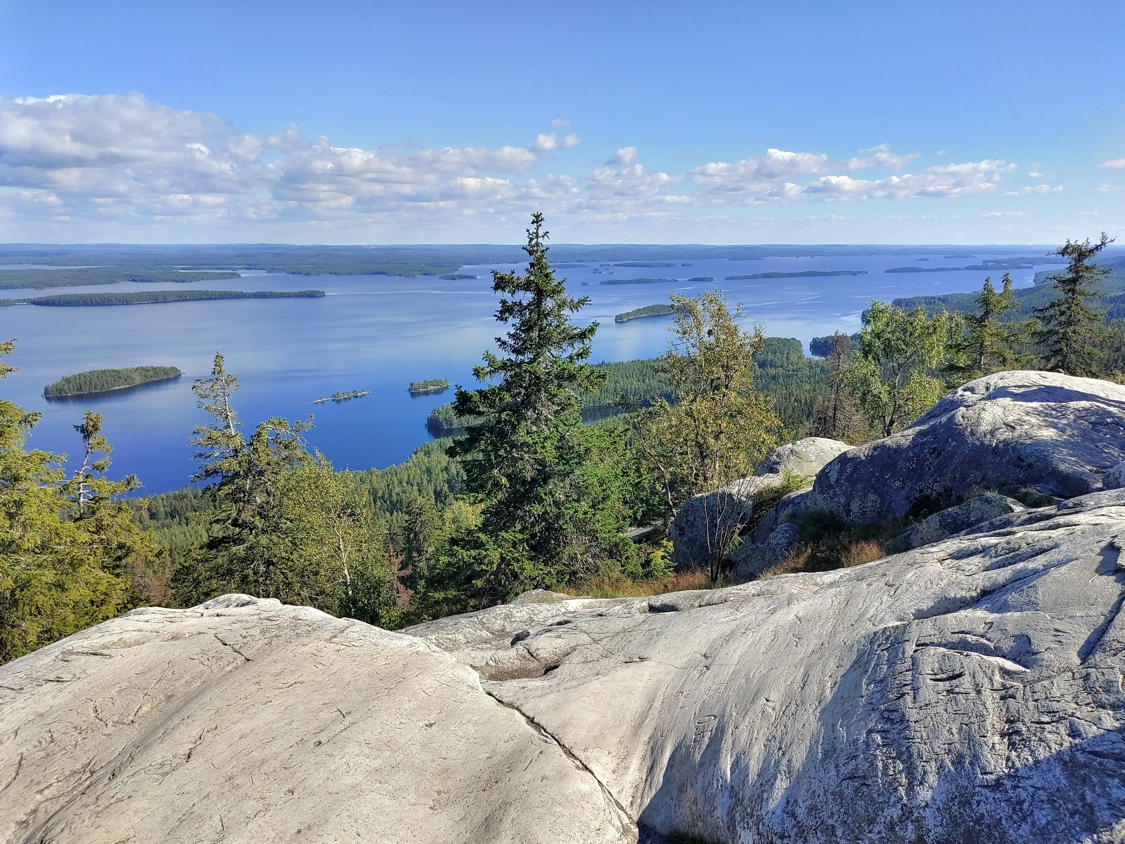 A view from the Ukko-Koli, FInland