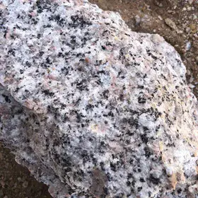 G2-granite hand sample taken from its incubating mountain