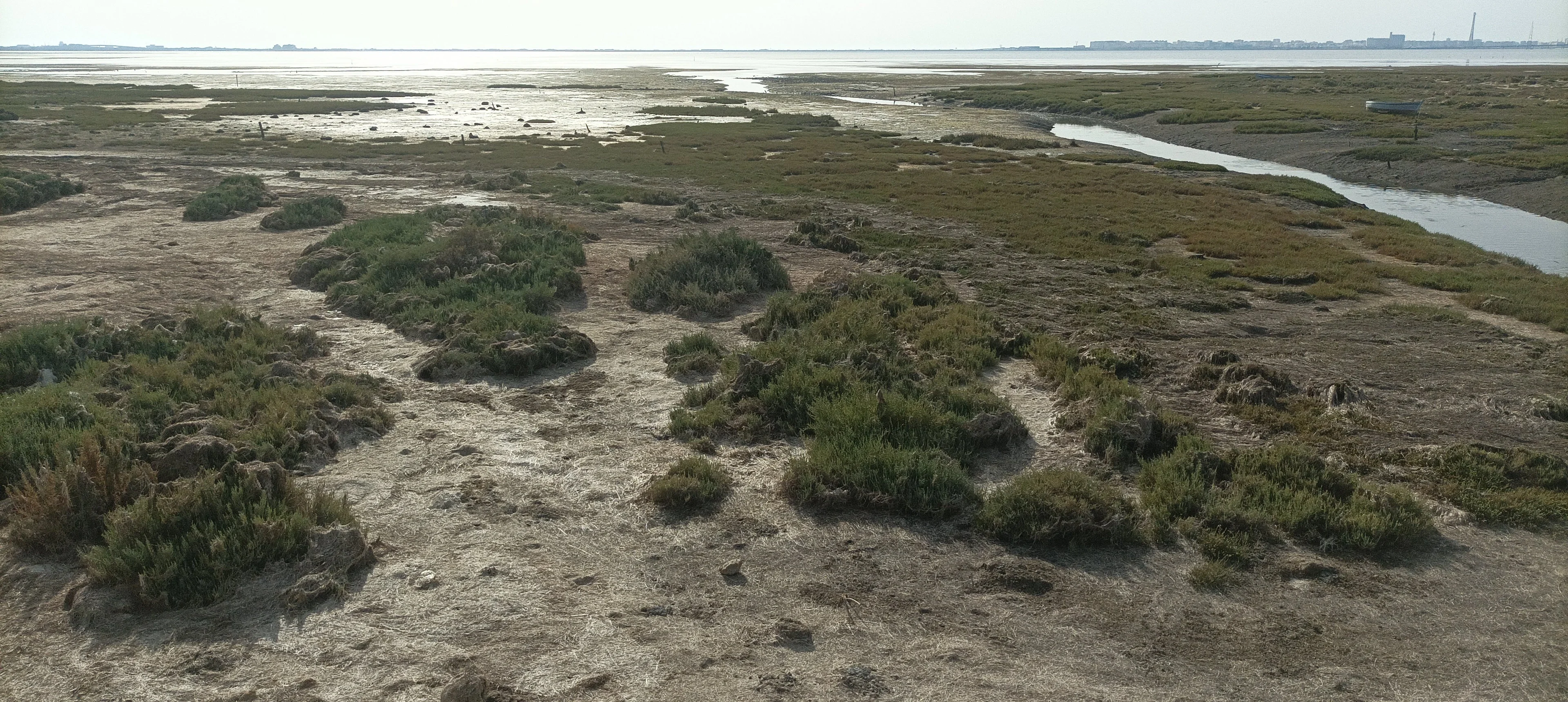 Where salt meets sky: San Fernando's salty marshes