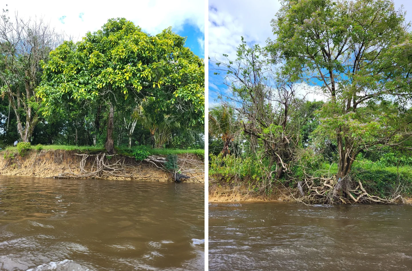 Riverbank erosion hazard