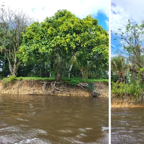 Riverbank erosion hazard