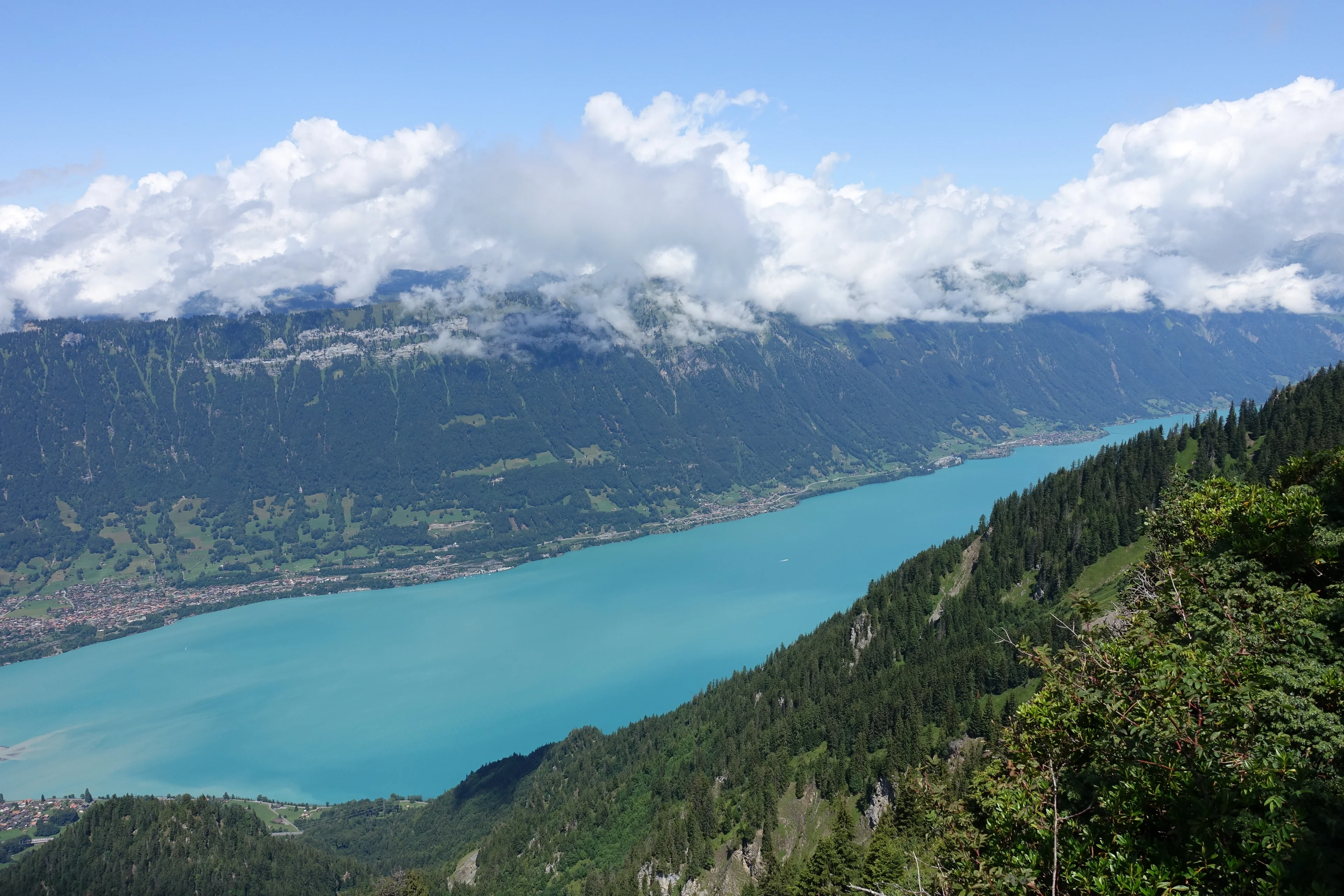 Lake Brienz from Schynige Platte