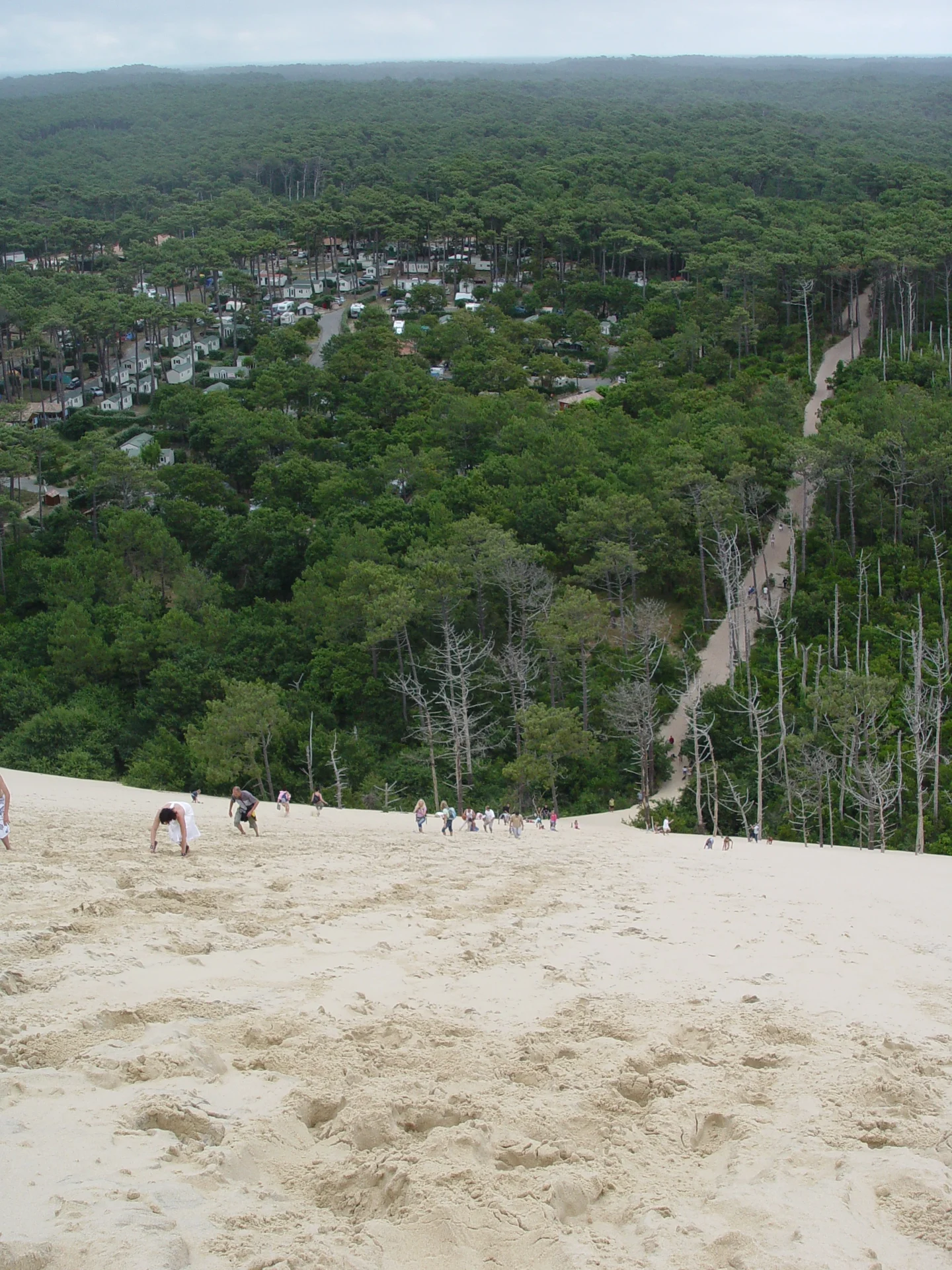 Dune du Pilat and its hinterland
