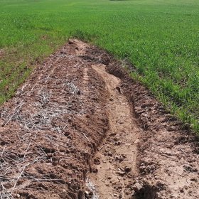 Nature's scars: the impact of rill erosion on agricultural land