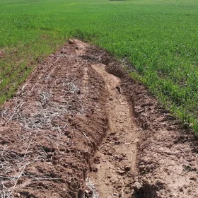 Nature's scars: the impact of rill erosion on agricultural land