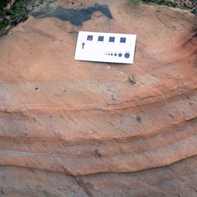 Paleozoic Diamictites