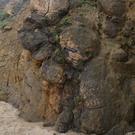 Carbonate Stromatolites