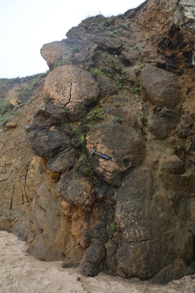 Carbonate Stromatolites
