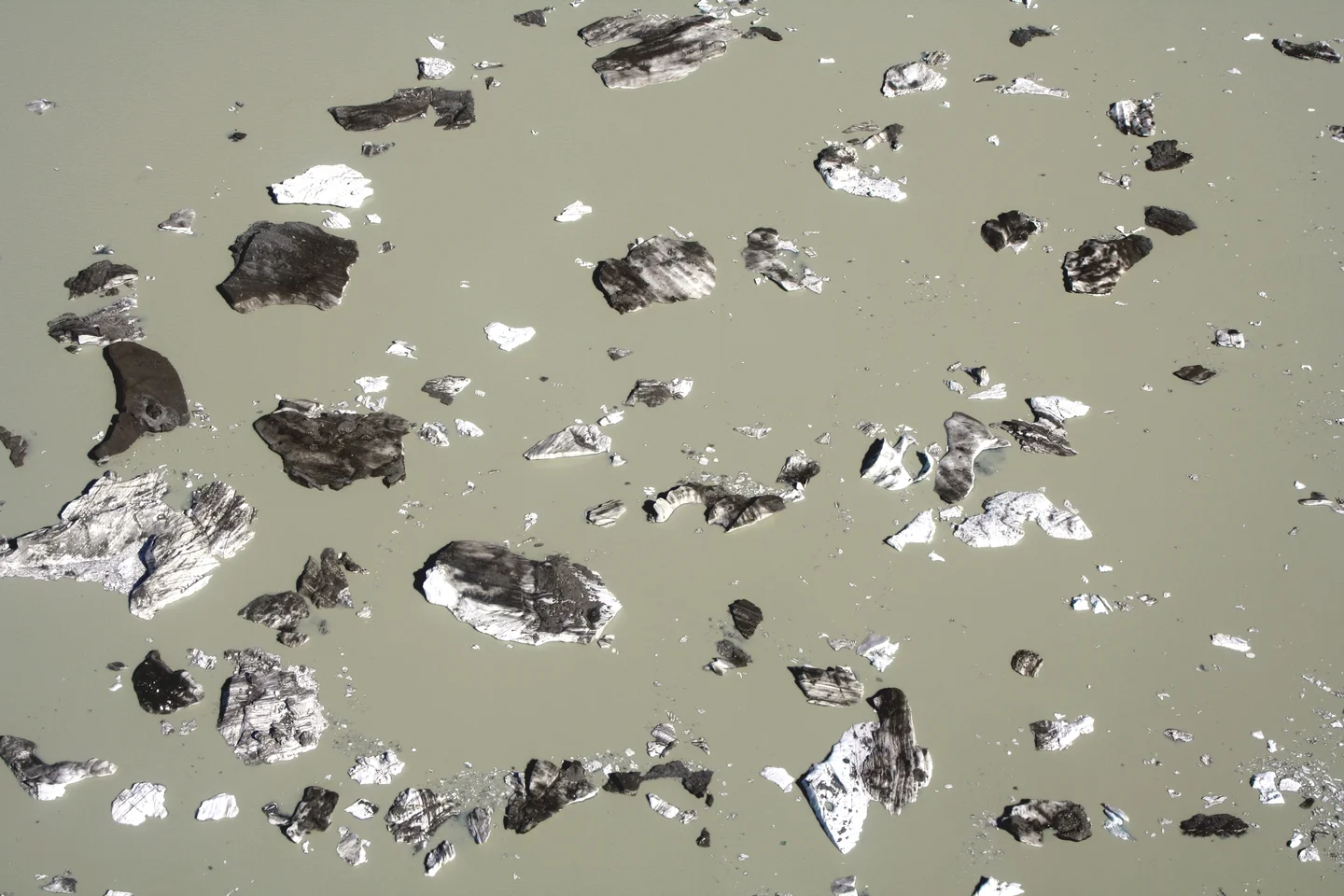 Scattered Icebergs on a proglacial Lake