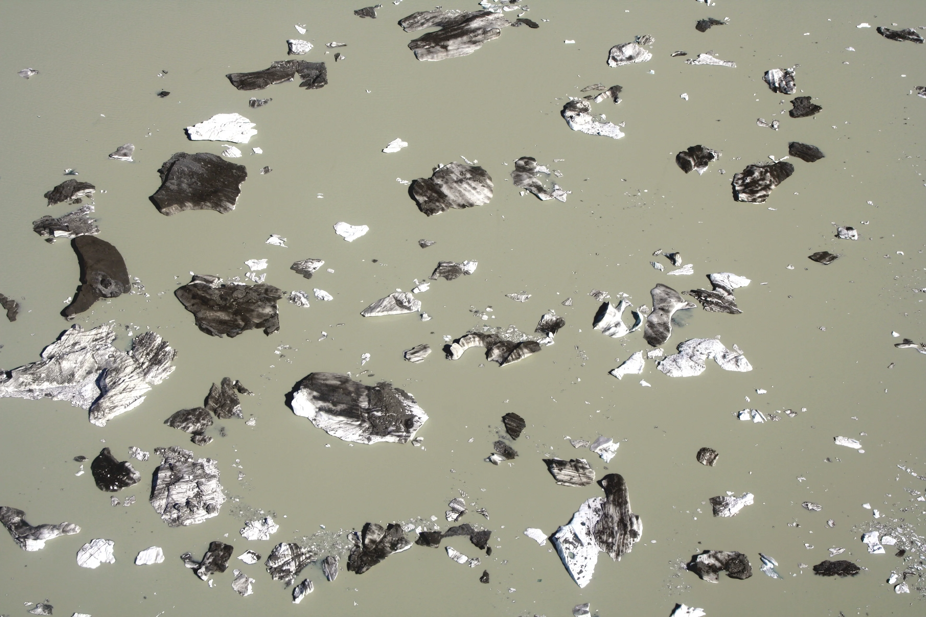 Scattered Icebergs on a proglacial Lake
