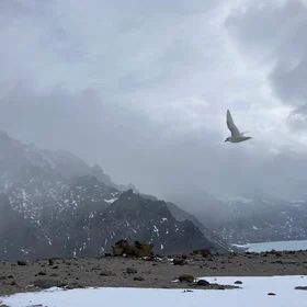 Life at the end of the world