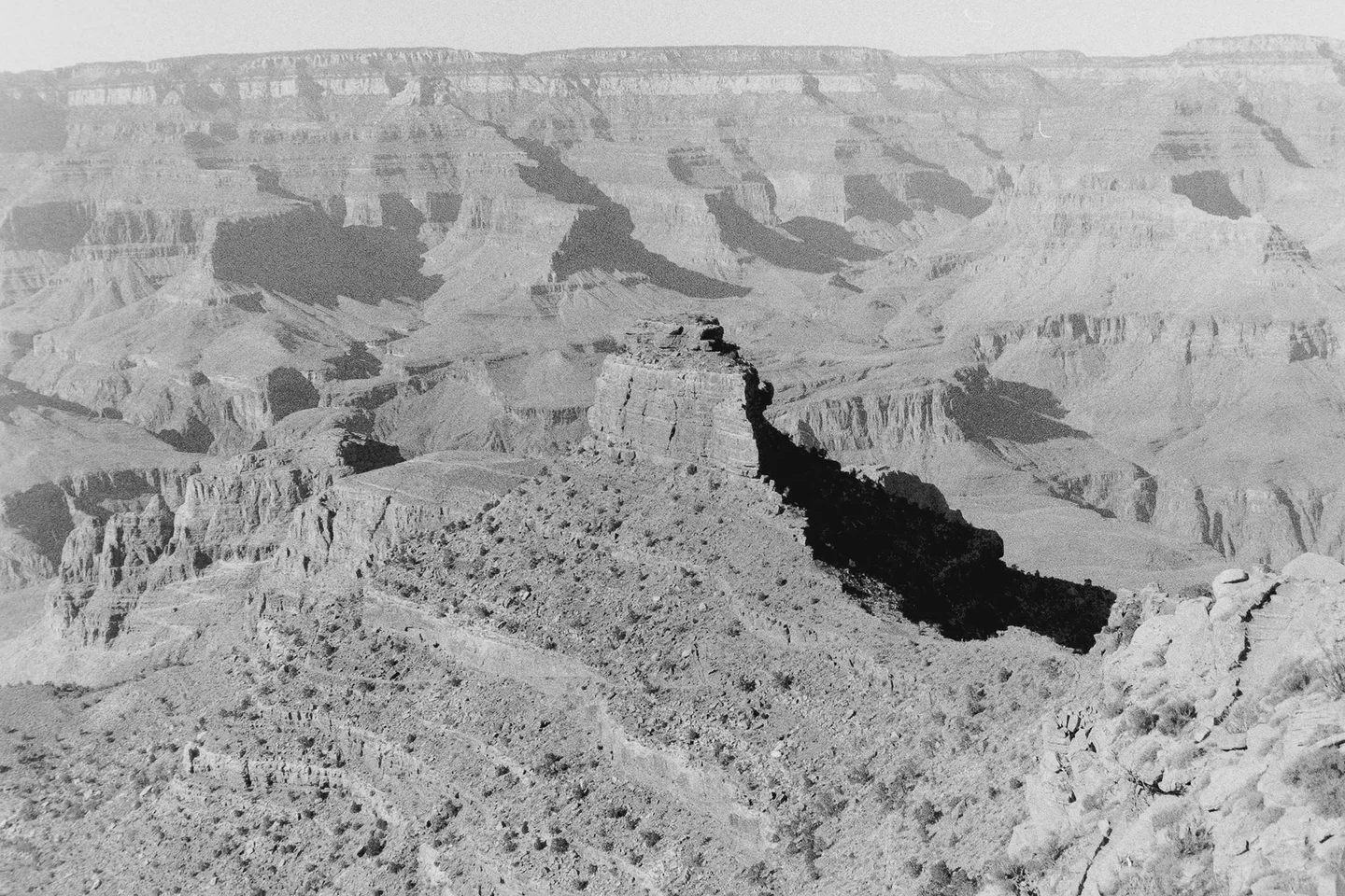 Into the grandest canyon