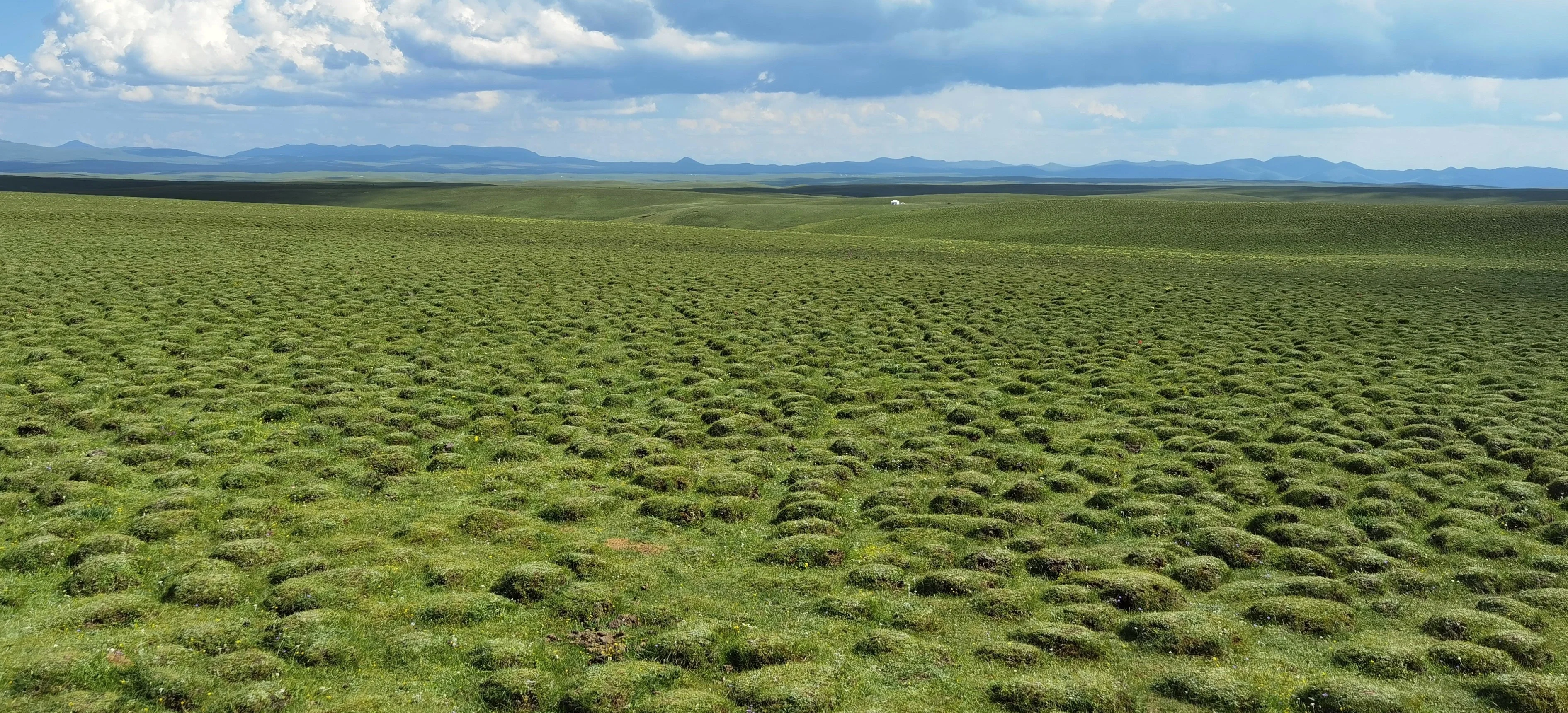 Meiren Grassland in Gannan Tibetan Autonomous Prefecture