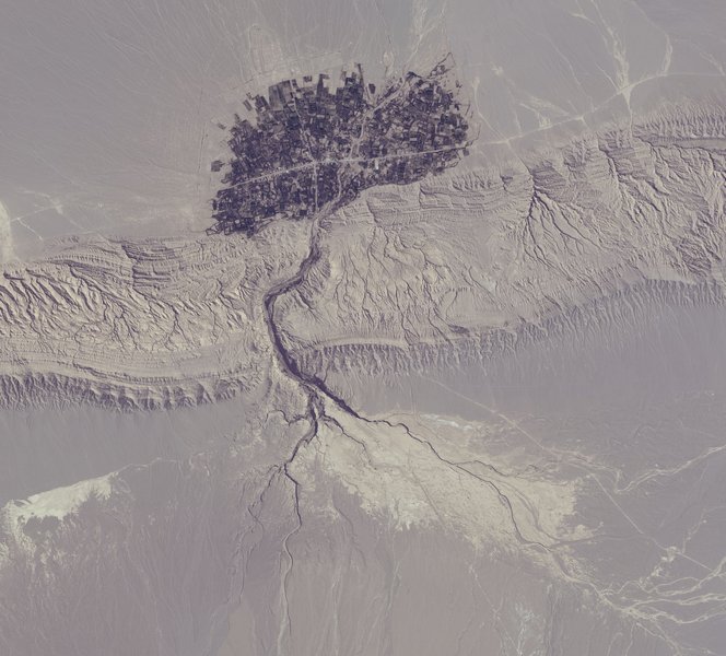 Satellite image of the tree-like village