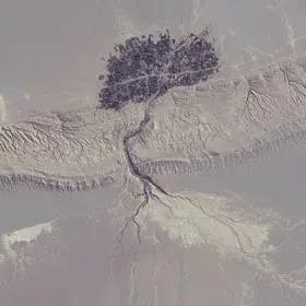 Satellite image of the tree-like village
