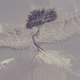 Satellite image of the tree-like village
