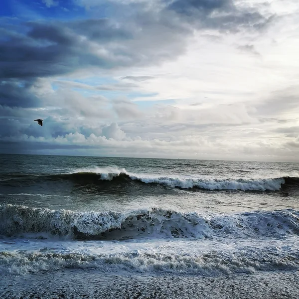 Beauty after the storm