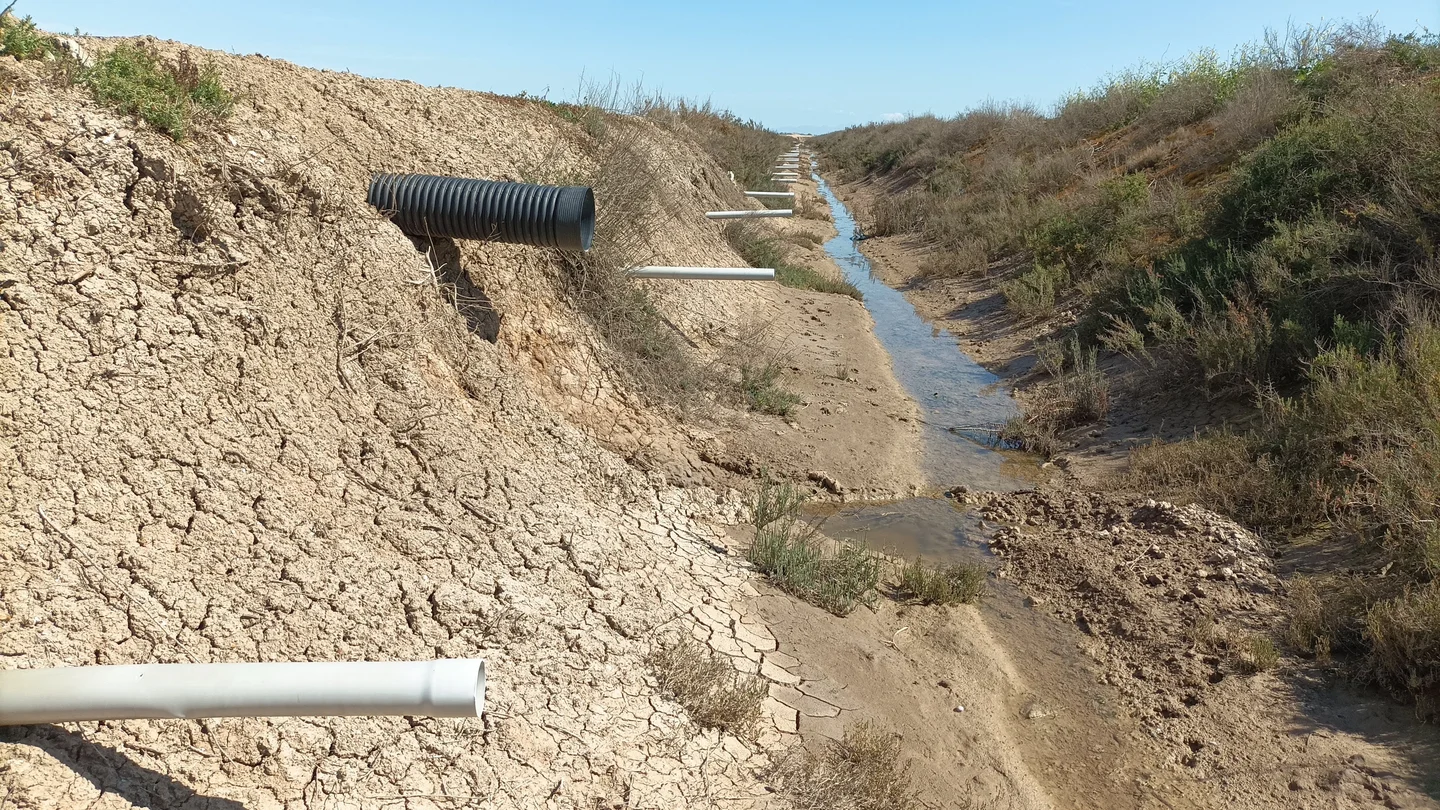 Drainage system in a cropped Calcic Solonchak in Veta La Palma, marshes of Doñana National Park (SW Spain)