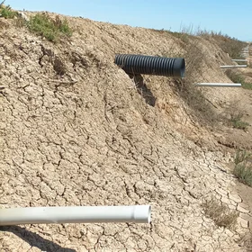 Drainage system in a cropped Calcic Solonchak in Veta La Palma, marshes of Doñana National Park (SW Spain)