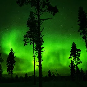 New year dancing polar light