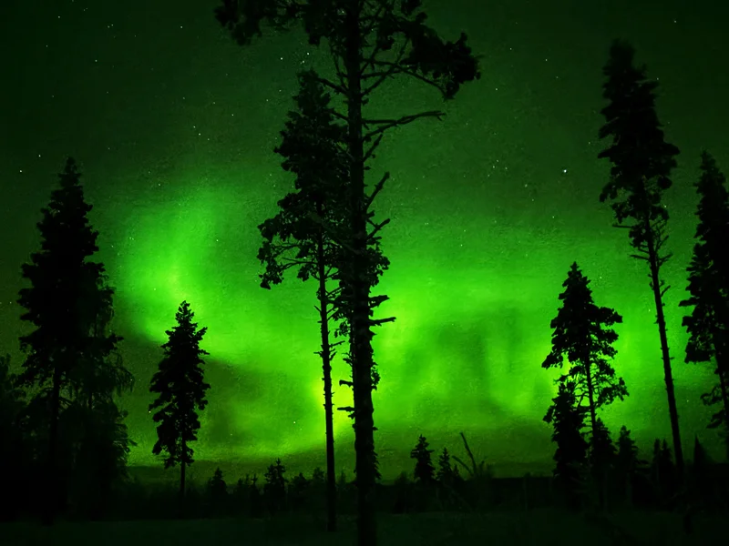 New year dancing polar light
