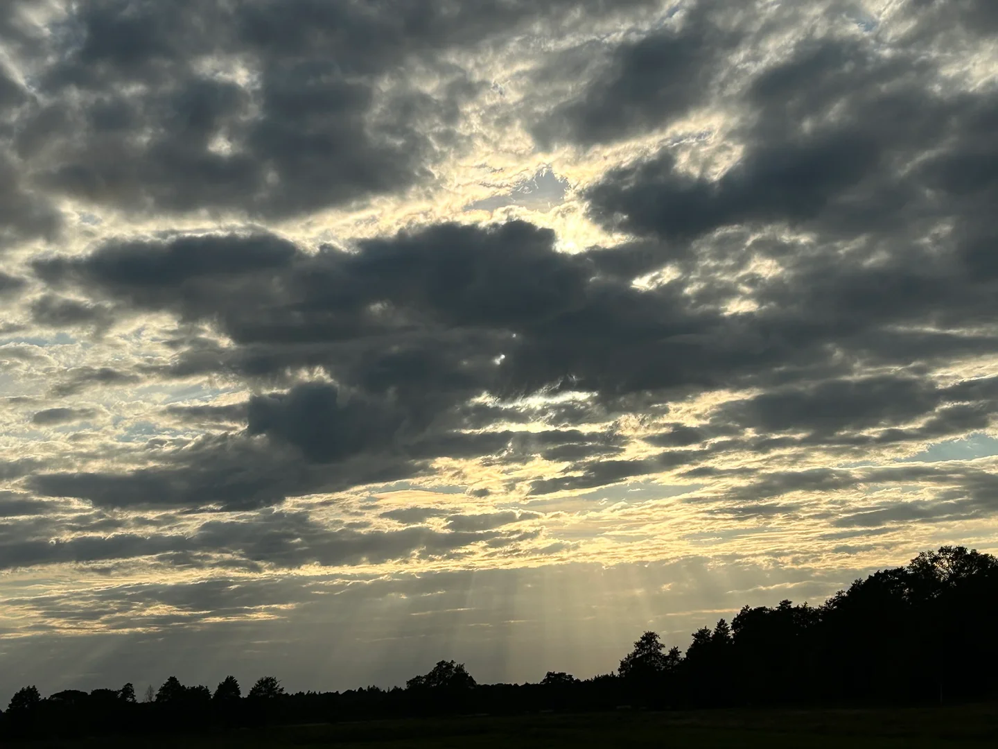The gift from the sun