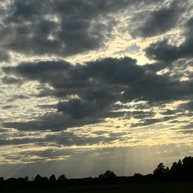 The gift from the sun