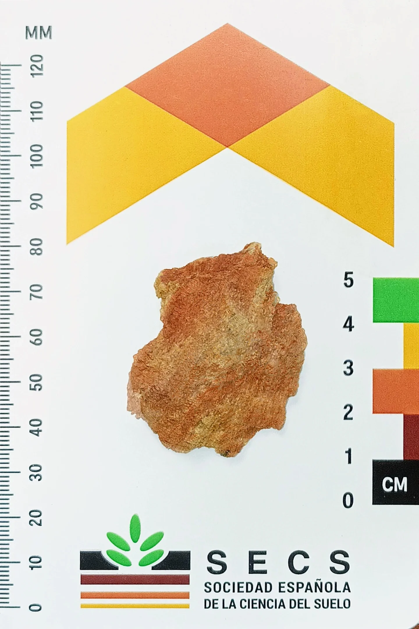 Soil aggregate showing redoximorphic features