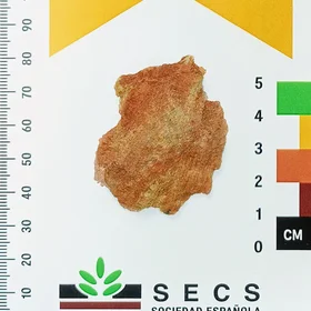Soil aggregate showing redoximorphic features