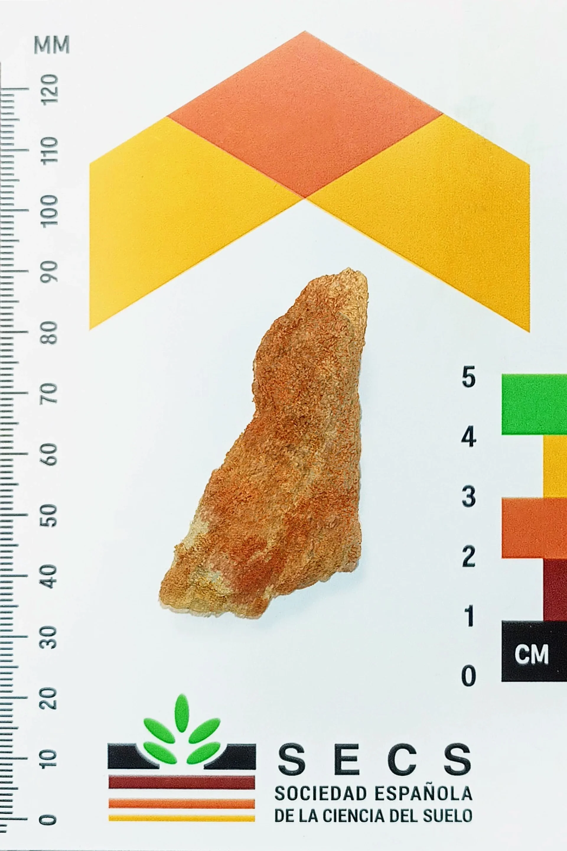 Soil aggregate showing redoximorphic features