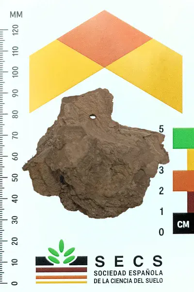 Soil aggregate from a salic horizon showing clayey coating films and a macropore