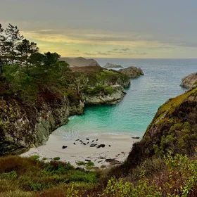 Sleepy Shores: A Seal's Sanctuary