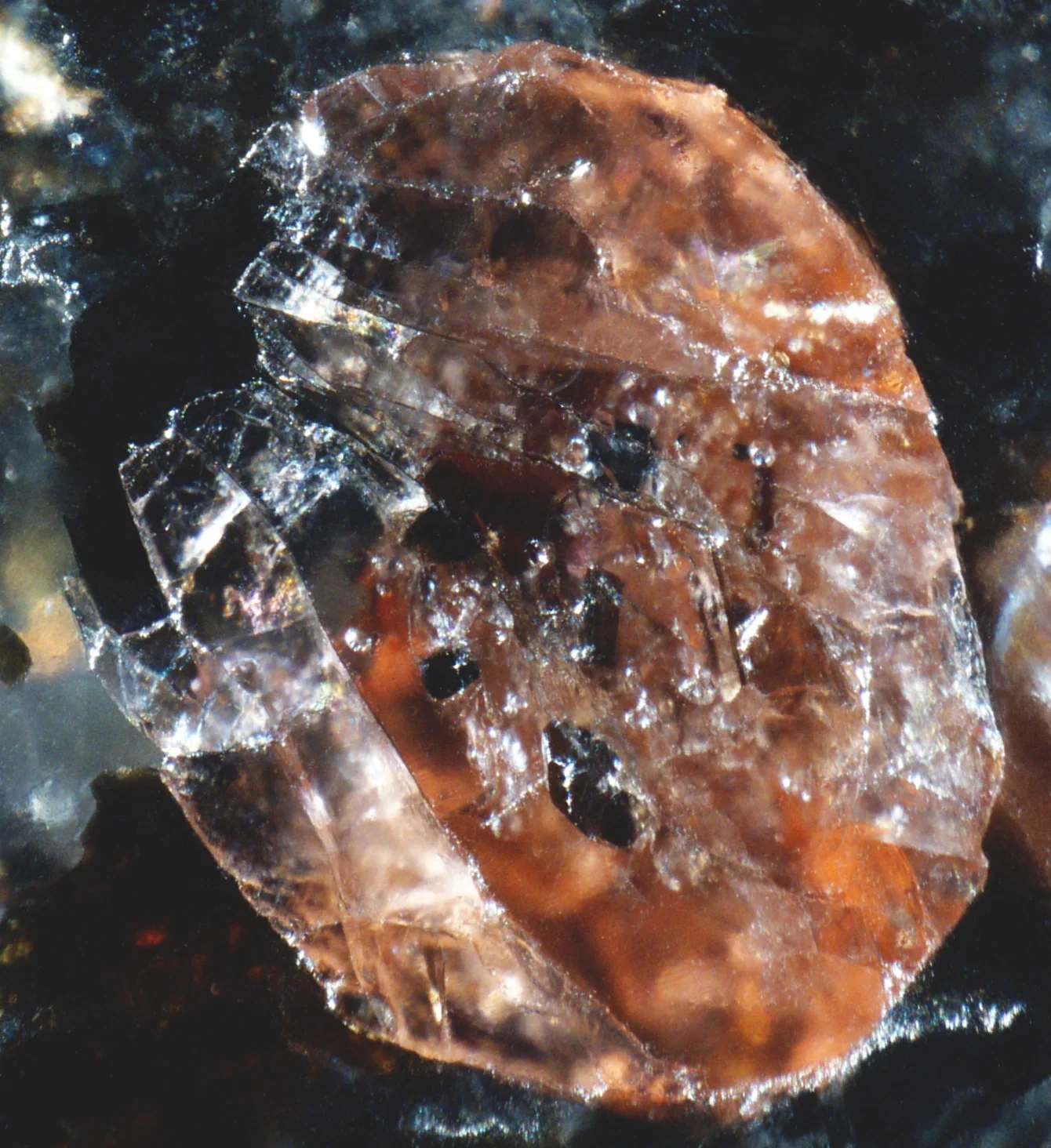 Precambrian garnet from Kopparnäs coastline, Finland