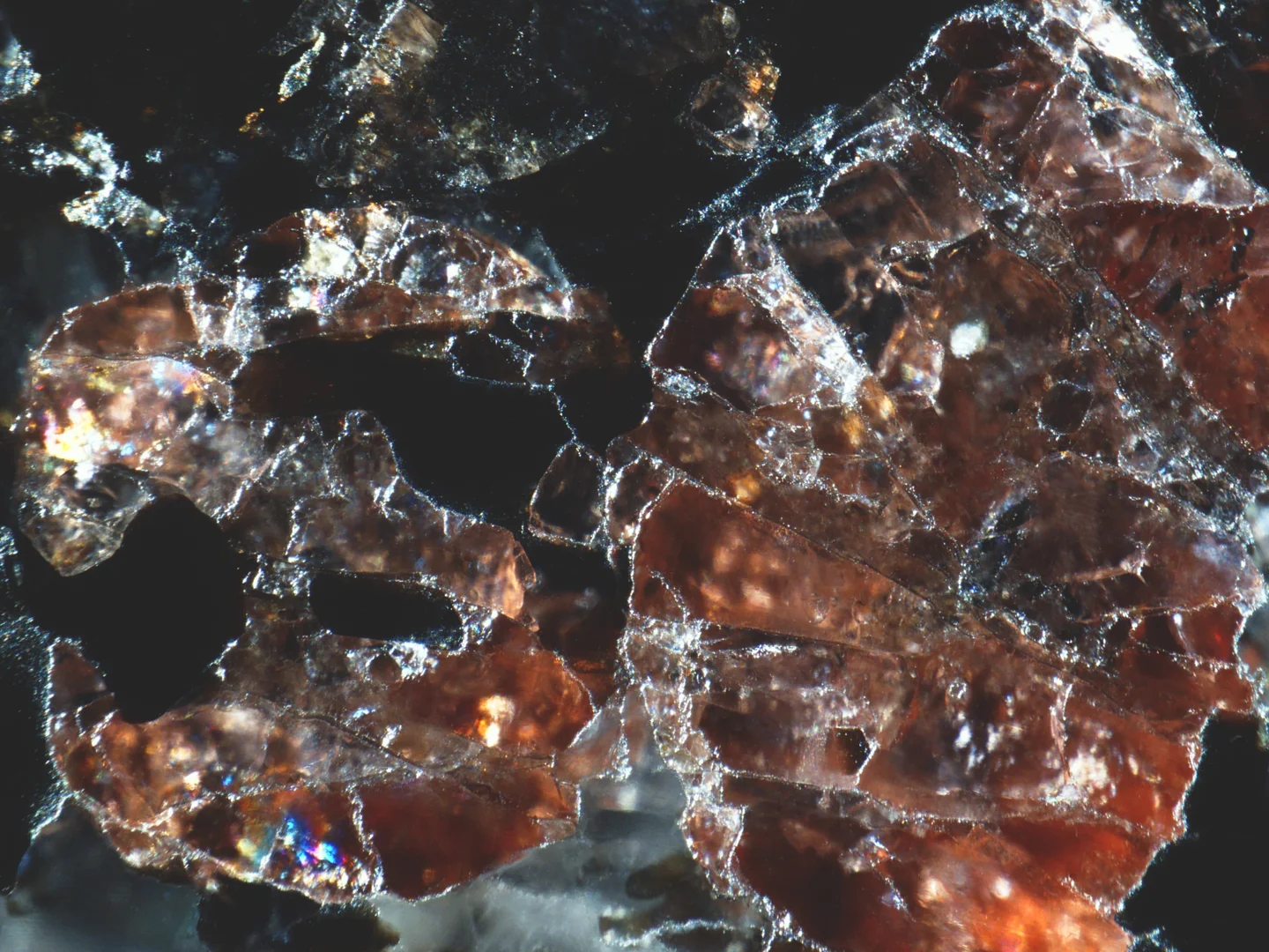Precambrian garnet from Kopparnäs coastline, Finland