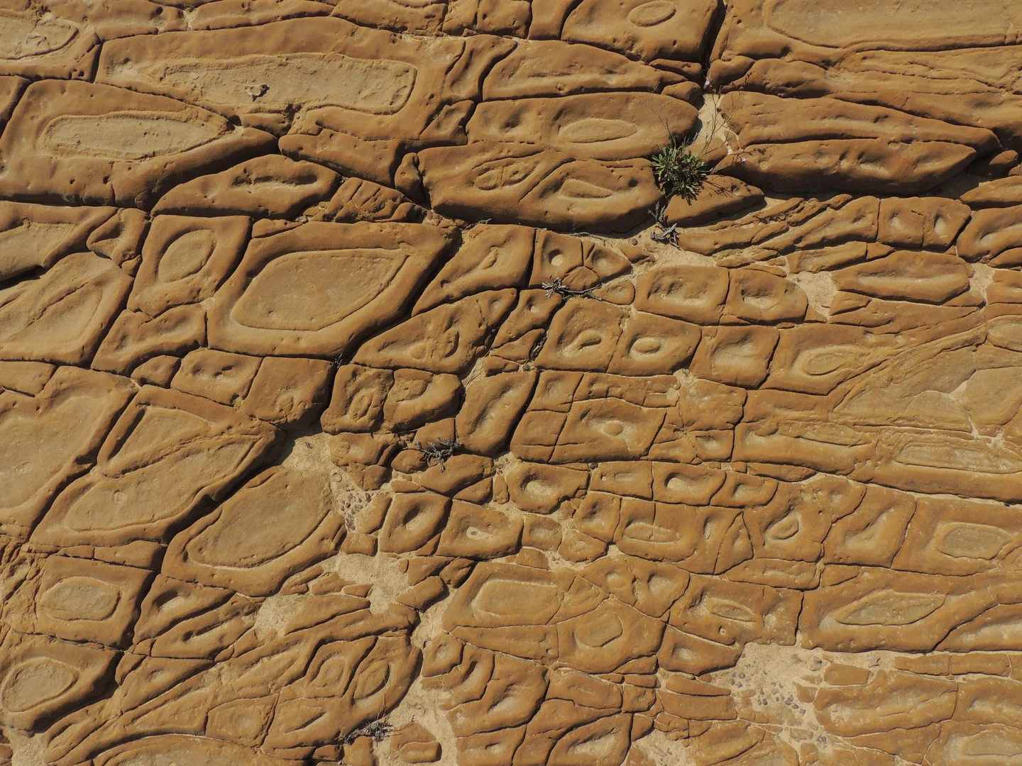 Abstract sedimentary rock art