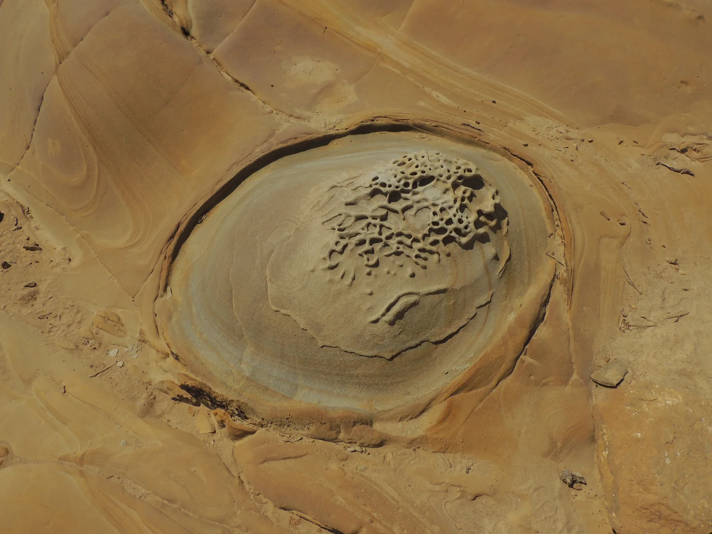 A bubble in the sedimentary rock