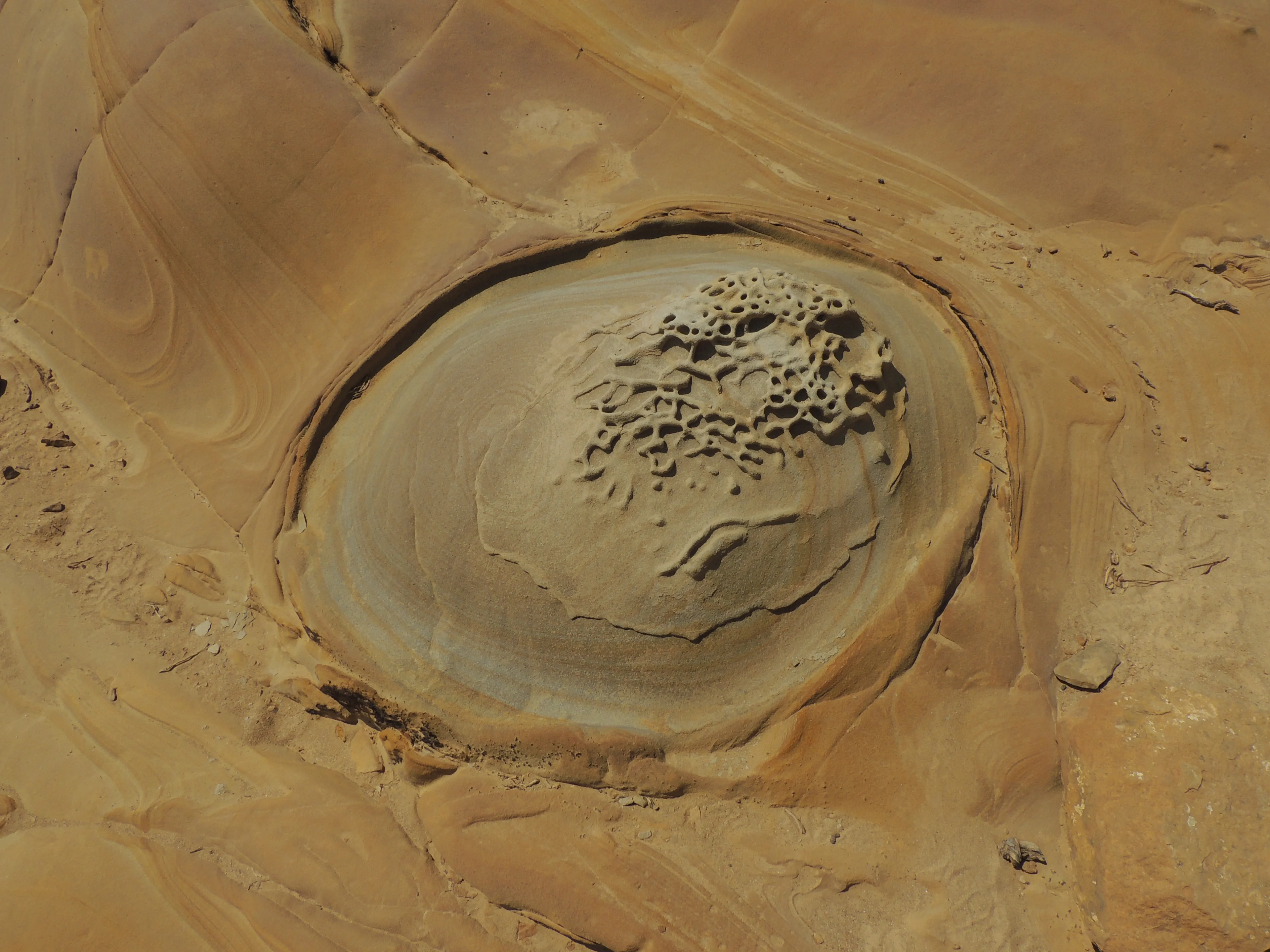 A bubble in the sedimentary rock