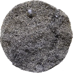 Cut drill core section of Estonian phosphorite