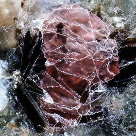 Estonian Precambrian garnet