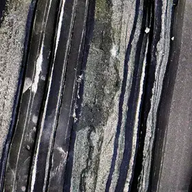 Estonian Tremadocian black-shales