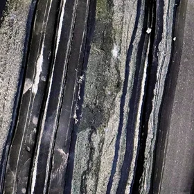 Estonian Tremadocian black-shales