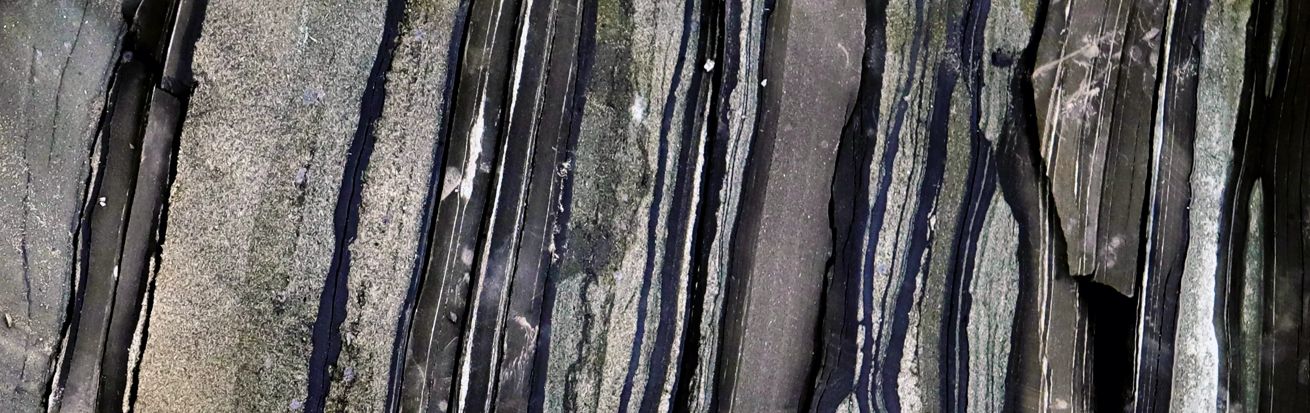 Estonian Tremadocian black-shales