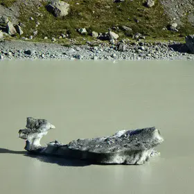 Losing Weight On Climate Change