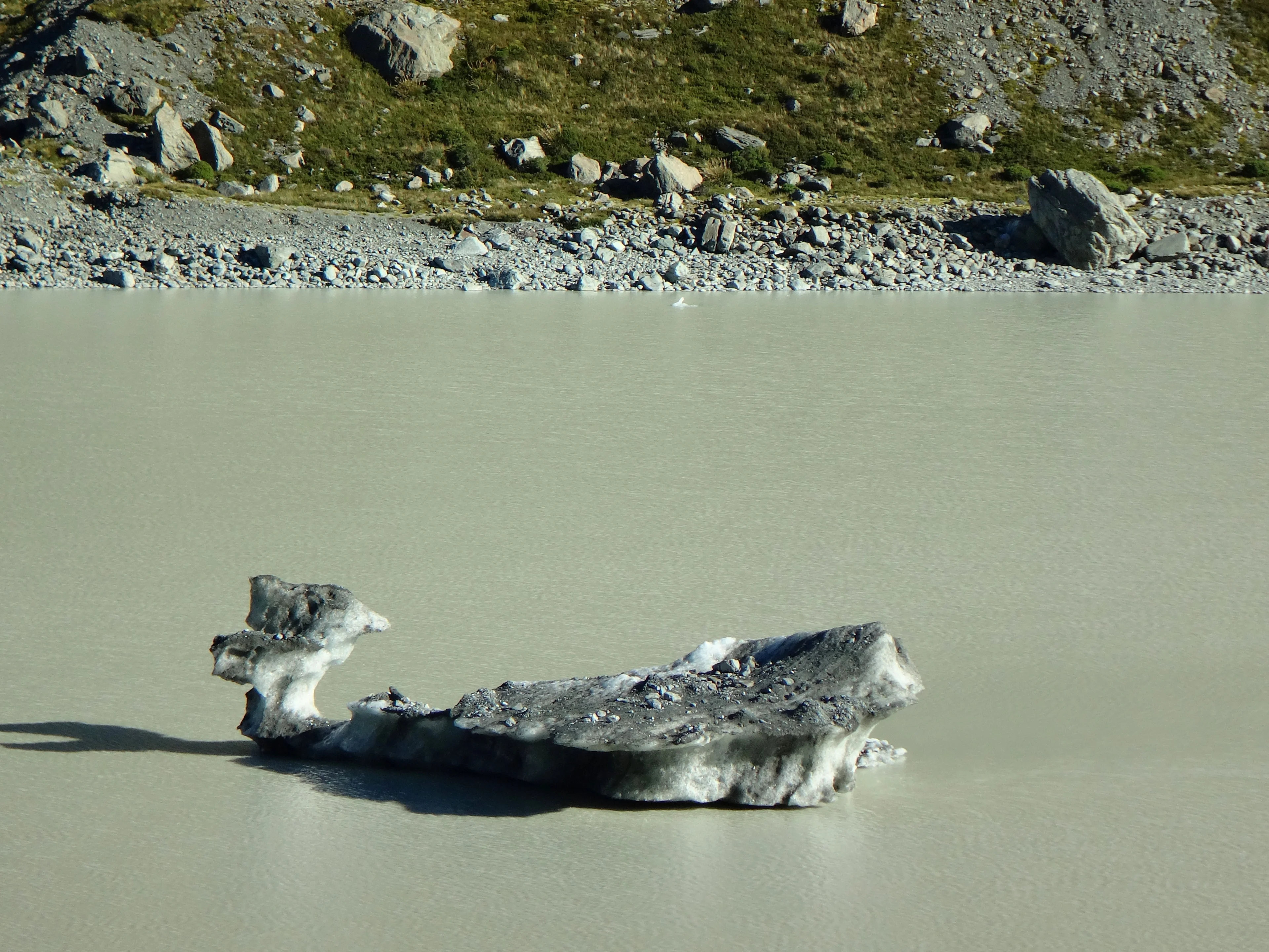 Losing Weight On Climate Change