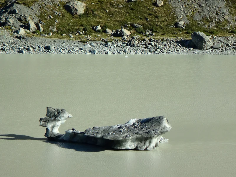 Losing Weight On Climate Change